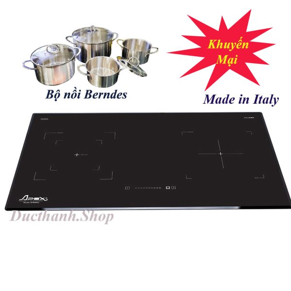 Bếp từ Sunhouse APB9981