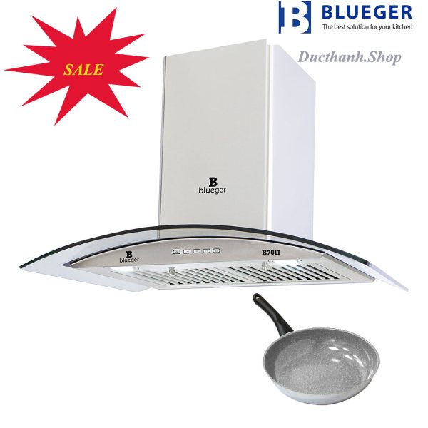 Máy hút khử mùi Blueger B701I