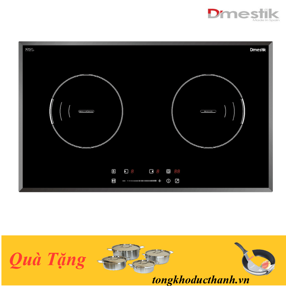 Bếp Từ D'MESTIK ES555 DKI