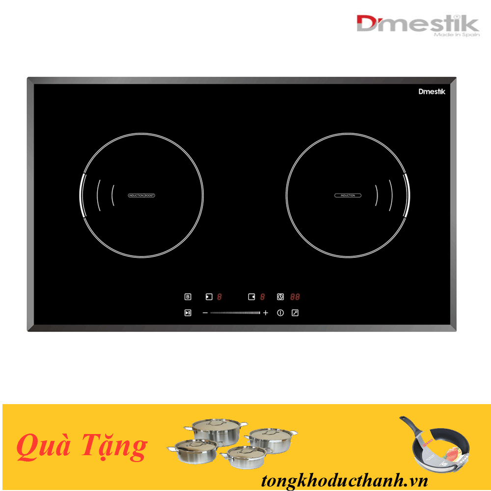 Bếp Từ D'MESTIK ES01 DKI