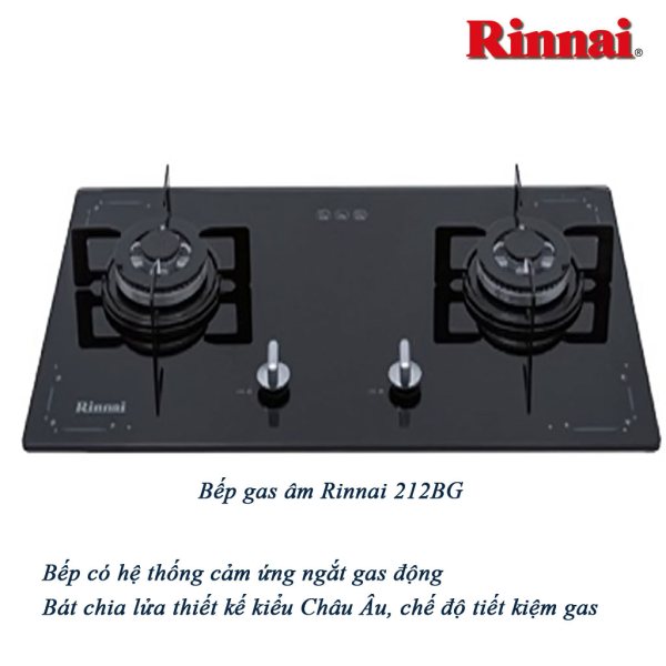 Bếp gas âm Rinnai 212BG
