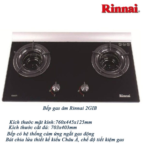 Bếp gas âm Rinnai 2GI(B)