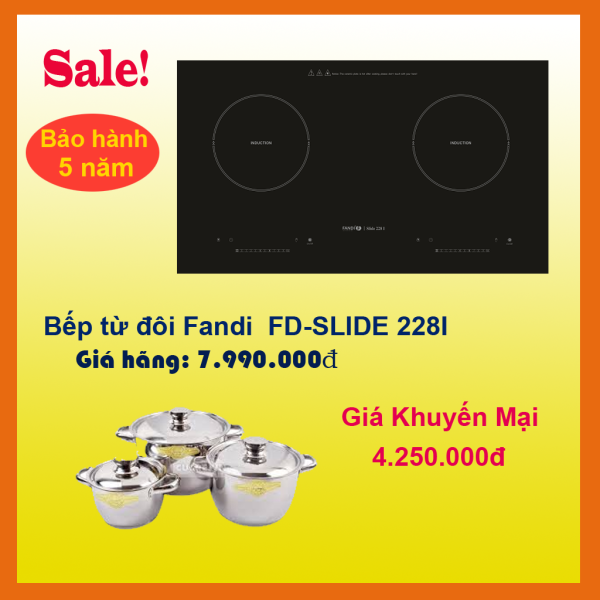 Bếp từ Fandi FD- SLUDE 228I