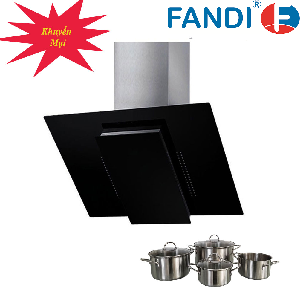 Máy hút mùi kính vát FD-TH70