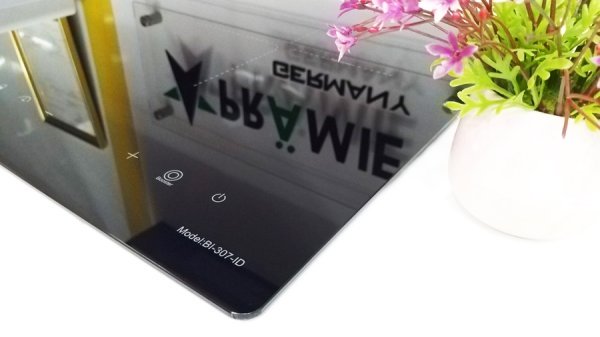 Bếp từ Binova BI-307-ID