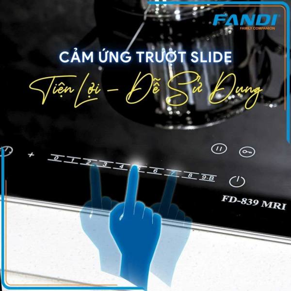Bếp từ Fandi FD-839MRI