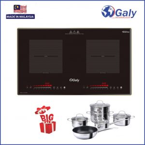 Bếp-từ-Ogaly-OG-D8300