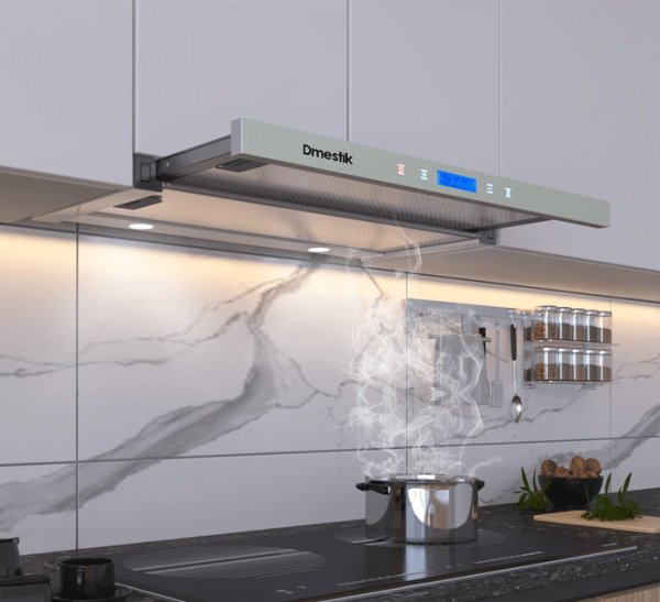 Máy hút mùi D'mestik ES/TL 4970 DMK ( mẫu mới)