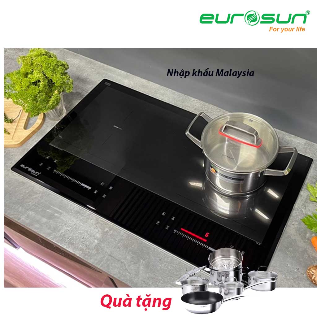 Bếp từ Eurosun EU-T210Pro ( MẪU MỚI)