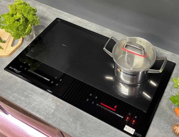 Bếp từ Eurosun EU-T210Pro ( MẪU MỚI)