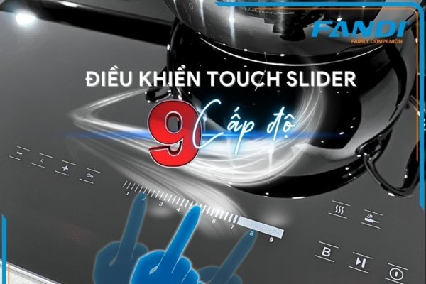 BẾP TỪ FANDI FD-829IB