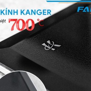 BẾP TỪ FANDI FD-829IG