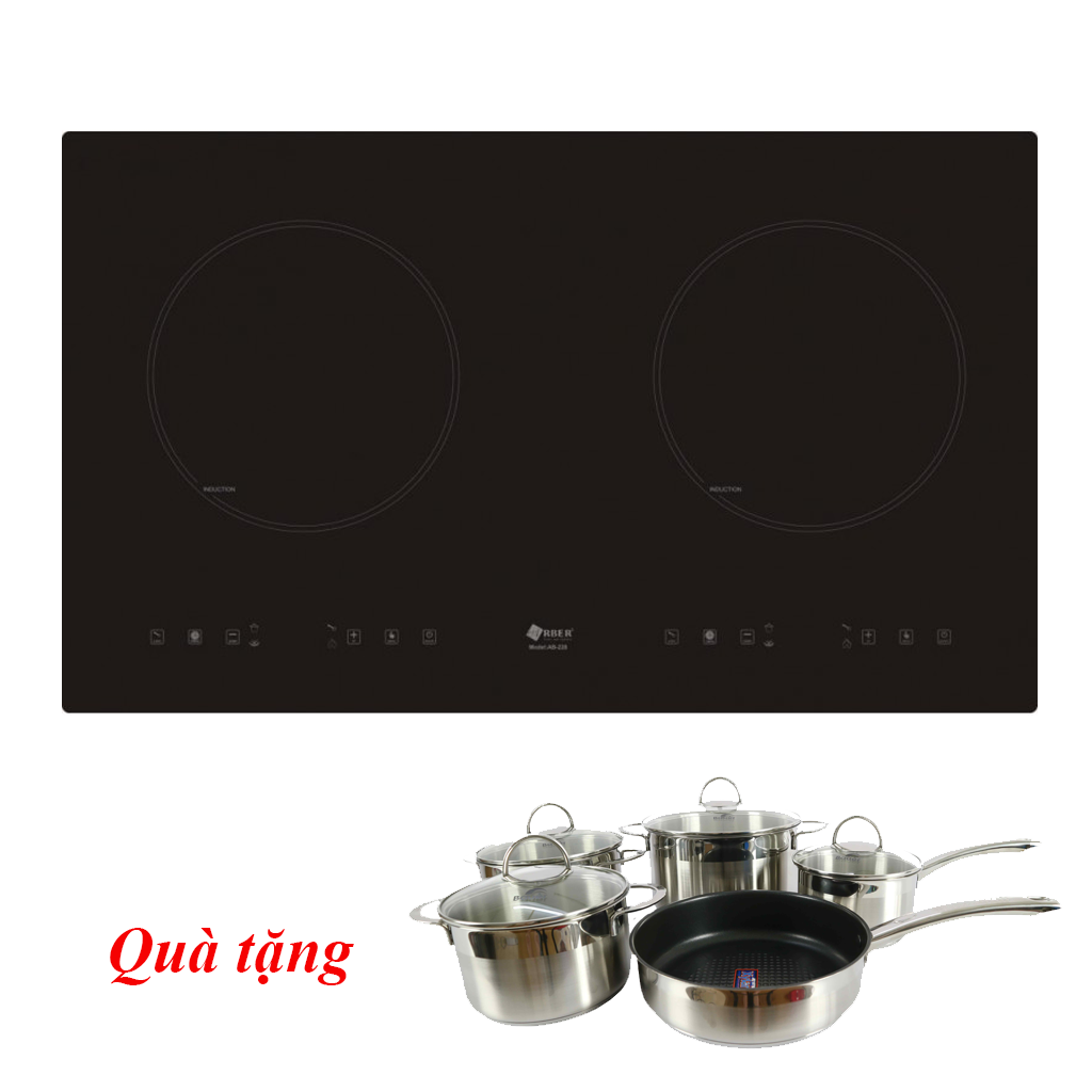 Bếp từ Arber FHT101