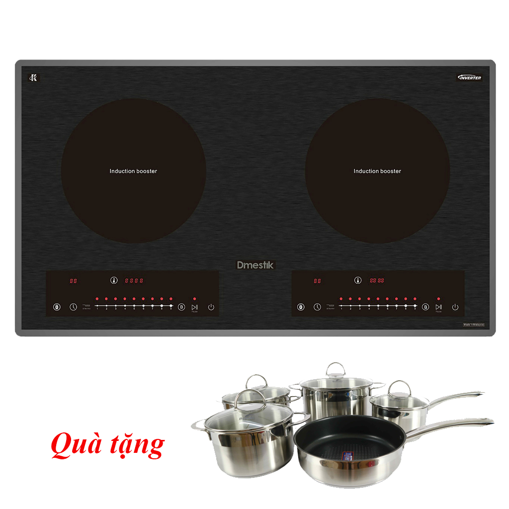 Bếp từ Dmestik ML 255 DKI