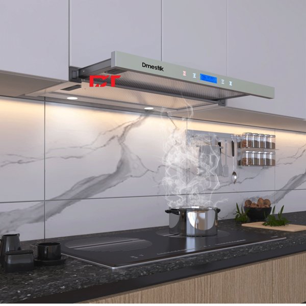 Máy hút mùi D'mestik ES/TL 4970 DMK ( mẫu mới)