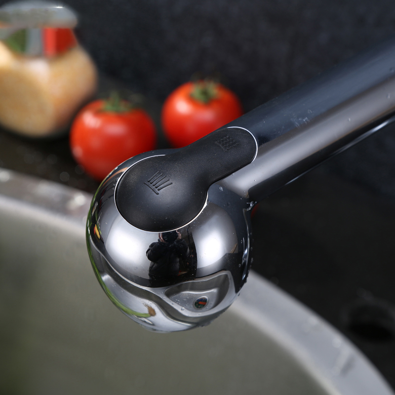 Vòi rửa bát Roslerer RL-528