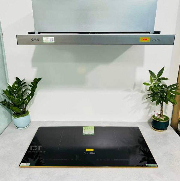 Bếp từ Sveilla SV-S202