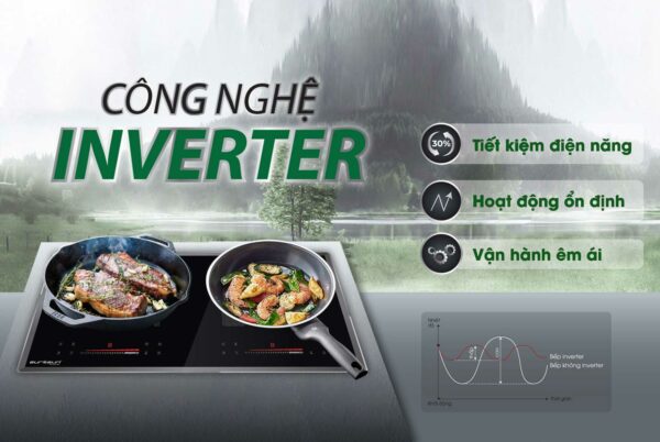 Bếp từ Eurosun EU-T210Pro ( MẪU MỚI)