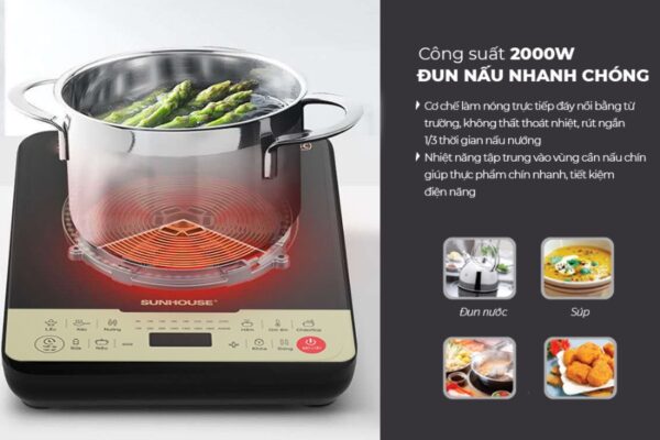 BẾP TỪ ĐƠN SUNHOUSE SHD6869