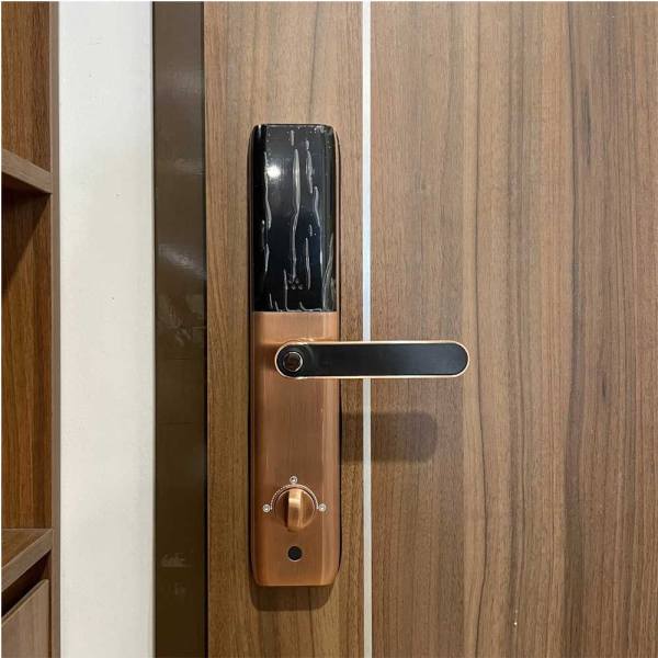 Khóa cửa thông minh Giovani GSL-A3BR