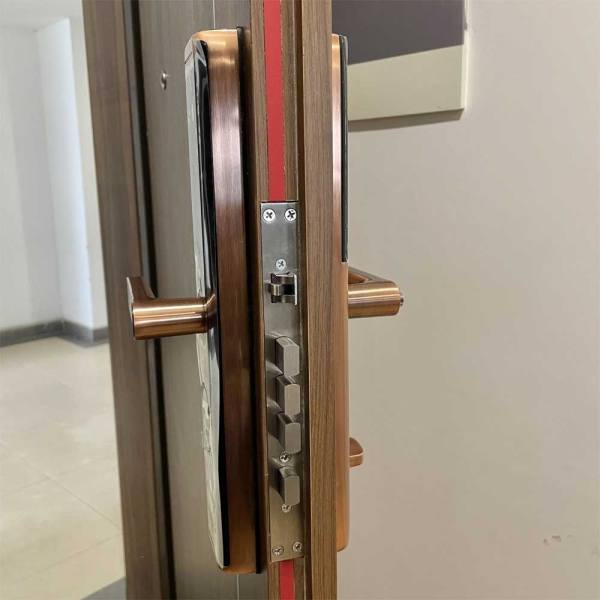 Khóa cửa thông minh Giovani GSL-A3BR