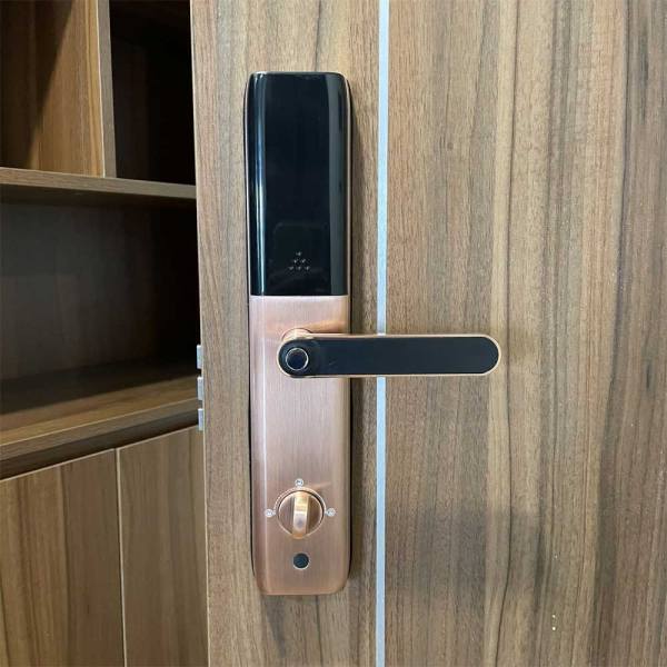 Khóa cửa thông minh Giovani GSL-A3BR