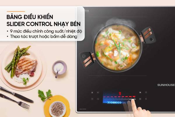 BẾP ĐÔI ĐIỆN TỪ SUNHOUSE SHB525DI mẫu mới