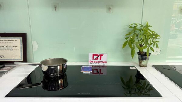 Bếp từ đôi Blueger B299PRO_ MADE IN MALAYSIA