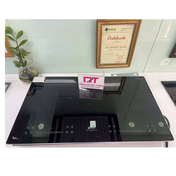 Bếp từ đôi Arber AB995 Seri 9.0