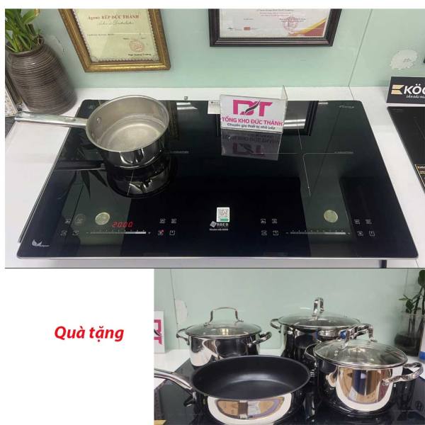 Bếp từ Arber AB-8999